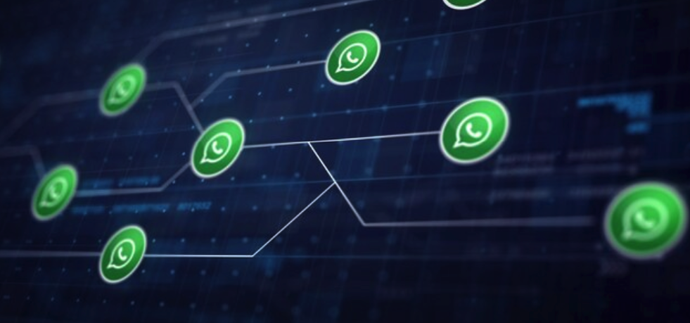 Vegasslot Whatsapp Hattı